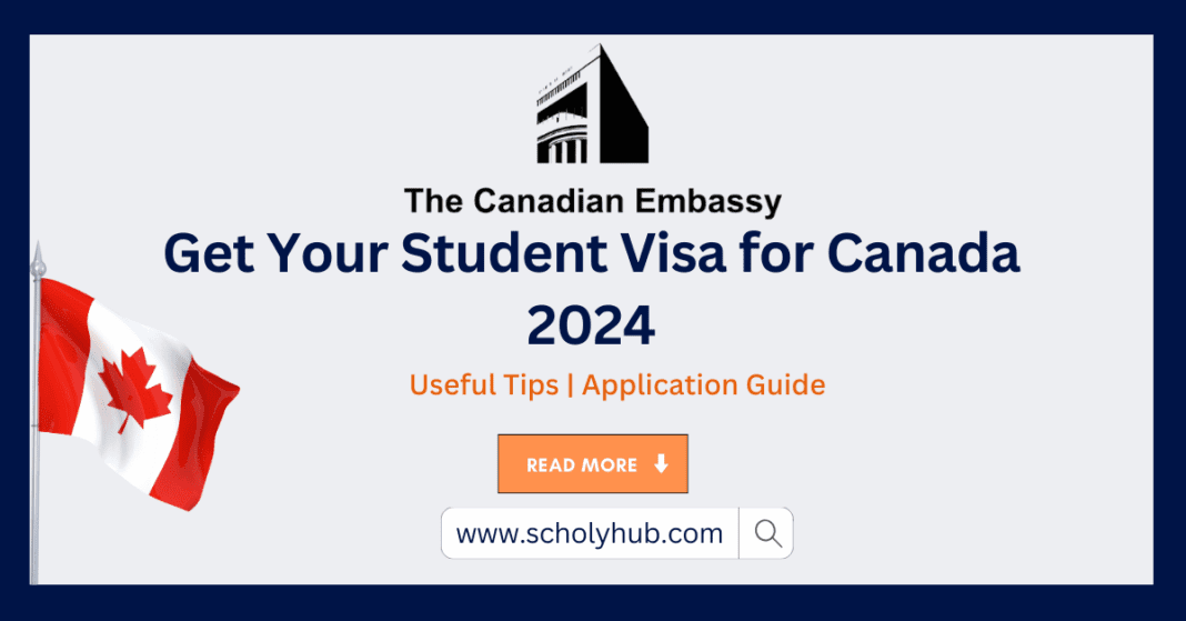 Guide to Student Visa for Canada 2024 | Useful Tips | ScholyHub