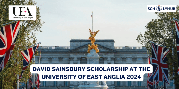 David Sainsbury Scholarship at the University of East Anglia 2024 | Scholyhub