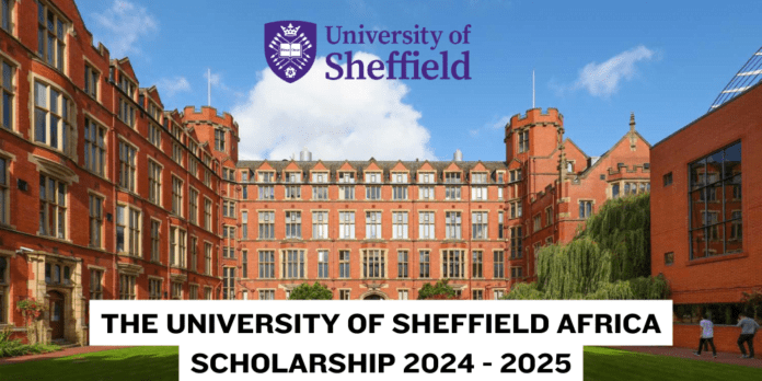 The University of Sheffield Africa Scholarship 2024 - 2025 | Scholyhub