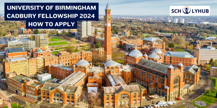 University of Birmingham Cadbury Fellowship 2024 | How To Apply | Scholyhub