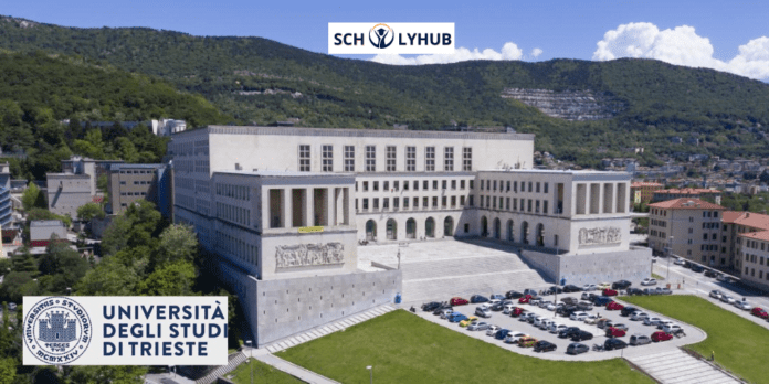 University of Trieste Scholarship 2024 | Study in Italy | Scholyhub