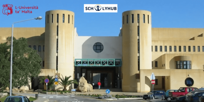 Study in Malta: Funded Scholarships in 2024 | Scholyhub