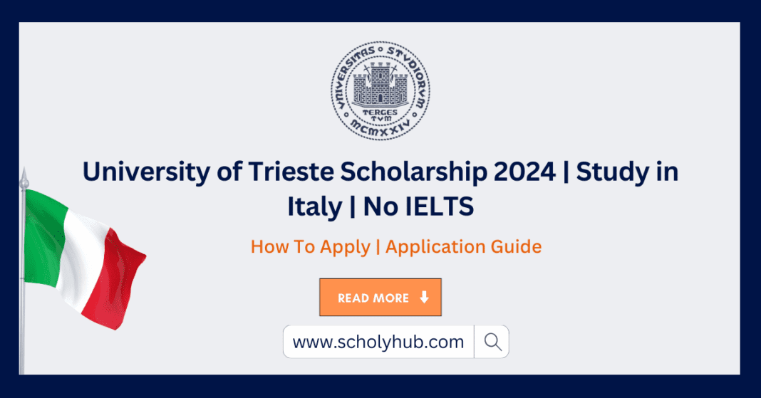 University of Trieste Scholarship 2024 | Study in Italy | ScholyHub