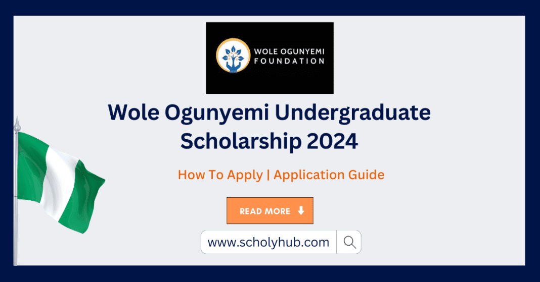 Study in Nigeria: Wole Ogunyemi Undergraduate Scholarship 2024 | ScholyHub