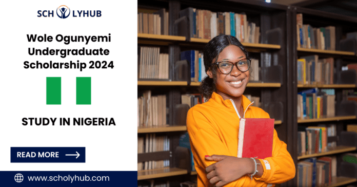 Study in Nigeria: Wole Ogunyemi Undergraduate Scholarship 2024 | scholyhub