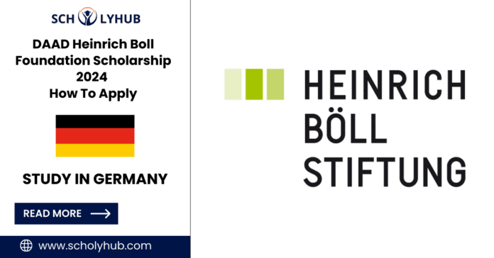 DAAD Heinrich Boll Foundation Scholarship In Germany 2024 | How To Apply | ScholyHub