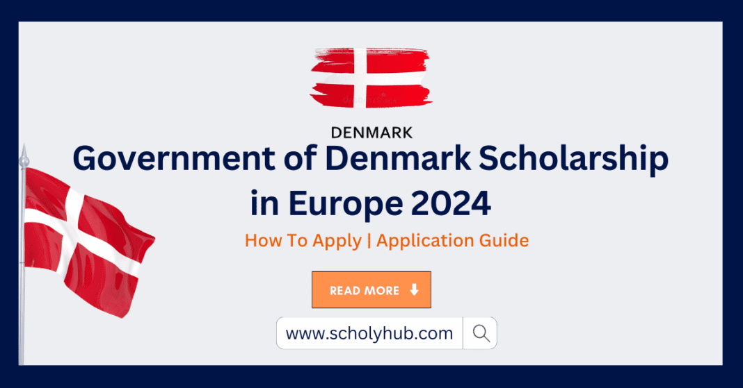 Government of Denmark Scholarship in Europe | ScholyHub