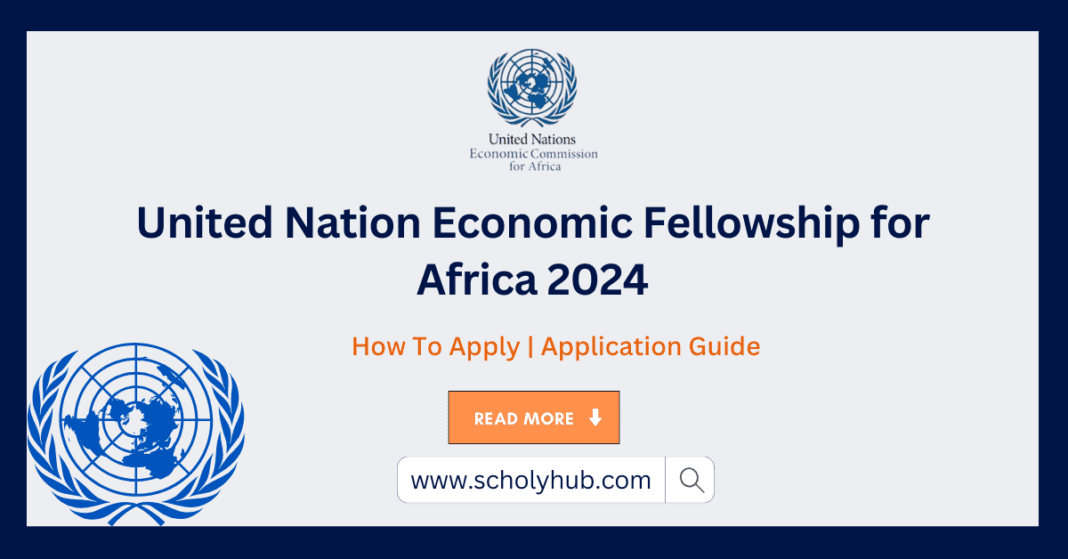 United Nation Economic Fellowship for Africa 2024 | ScholyHub