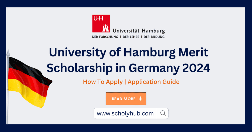 University of Hamburg Merit Scholarship in Germany 2024 | ScholyHub