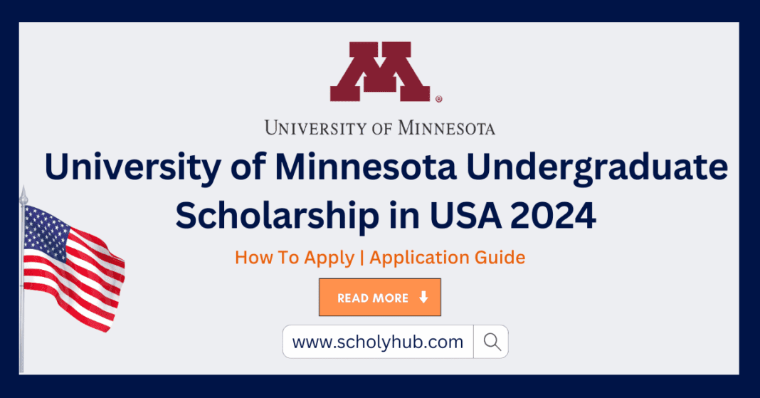 University of Minnesota Undergraduate Scholarship in USA 2024