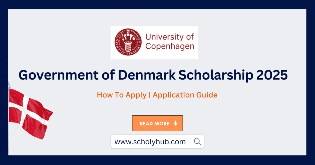 Government of Denmark Scholarship 2025 | How To Apply | Scholyhub