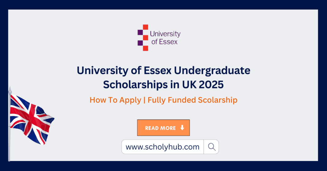 University of Essex Undergraduate Scholarships in UK 2025 ScholyHub