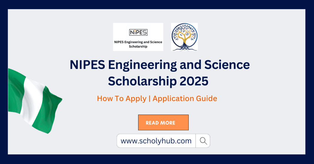 NIPES Engineering and Science Scholarship 2025 | Scholyhub