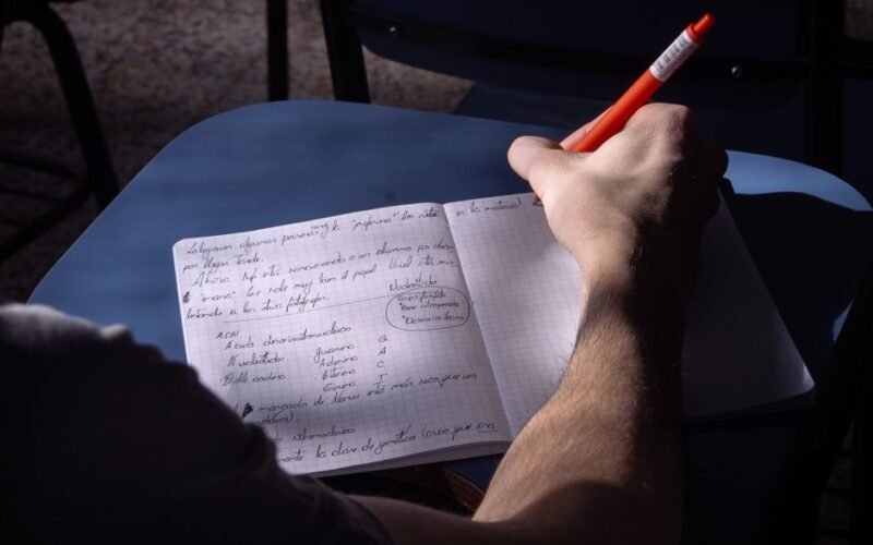 How to Write an Academic CV for University Applications