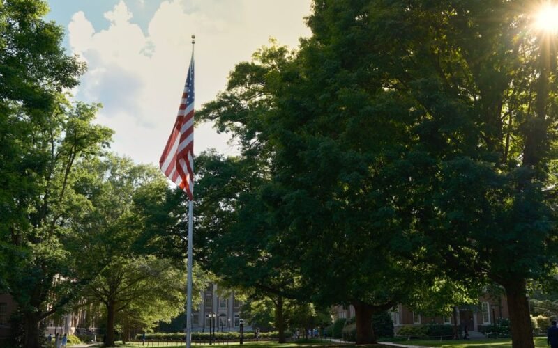 American University