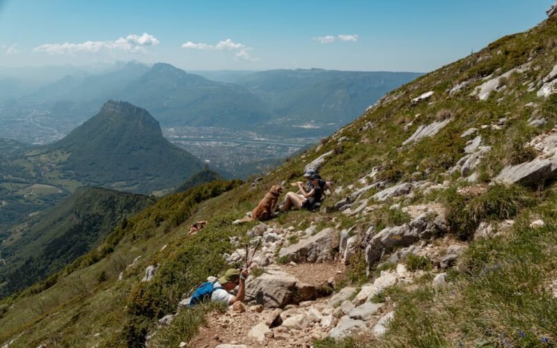 Université Grenoble Alpes IDEX Scholarship