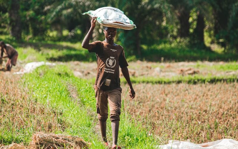 WFP (World Food Programme) Internship 2027