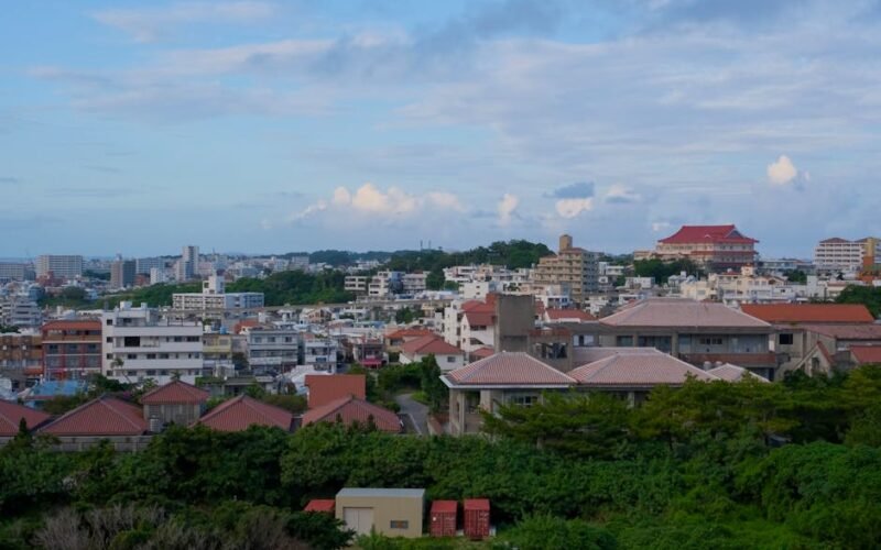 OIST Research Internship (Okinawa, Japan)