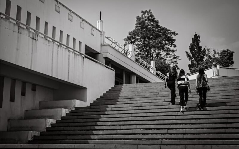 Université Paris-Saclay International Master’s Scholarship (IDEX)