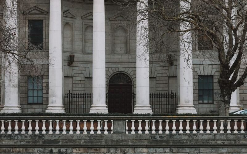 Government of Ireland Fellows Programme (Irish Aid)