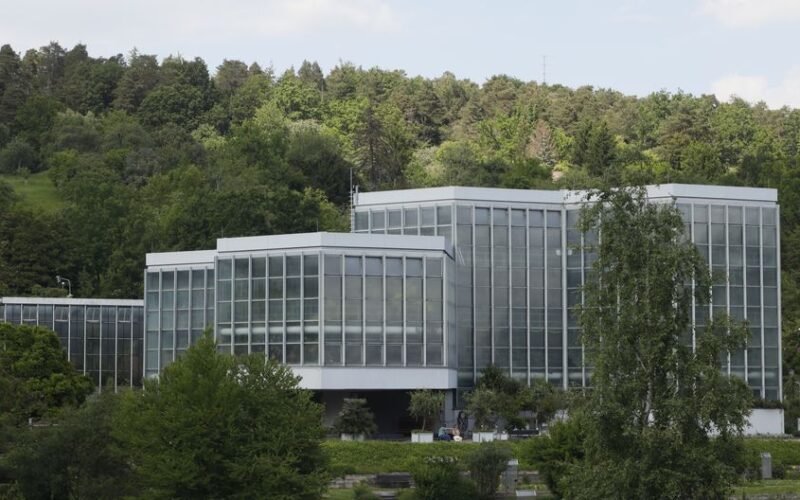 Roche Internships & Summer Programs