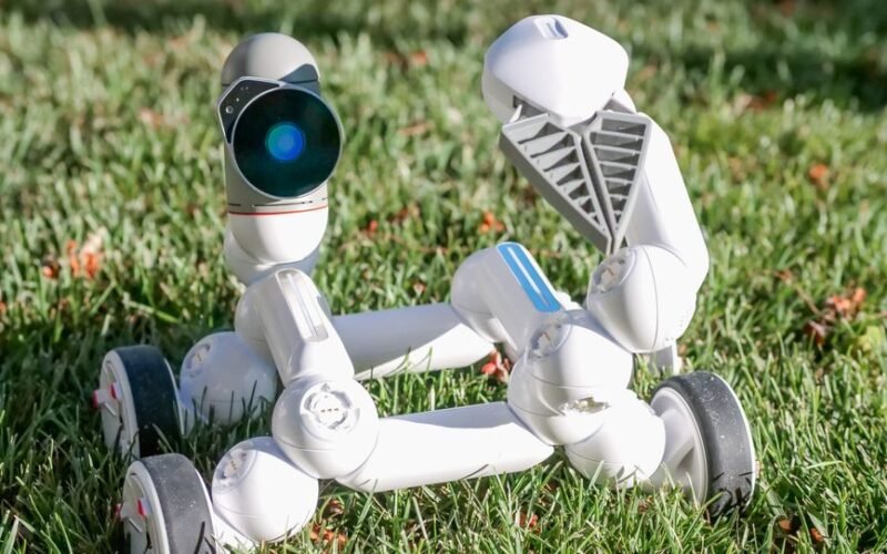 Intelligent Field Robotic Systems (IFROS)