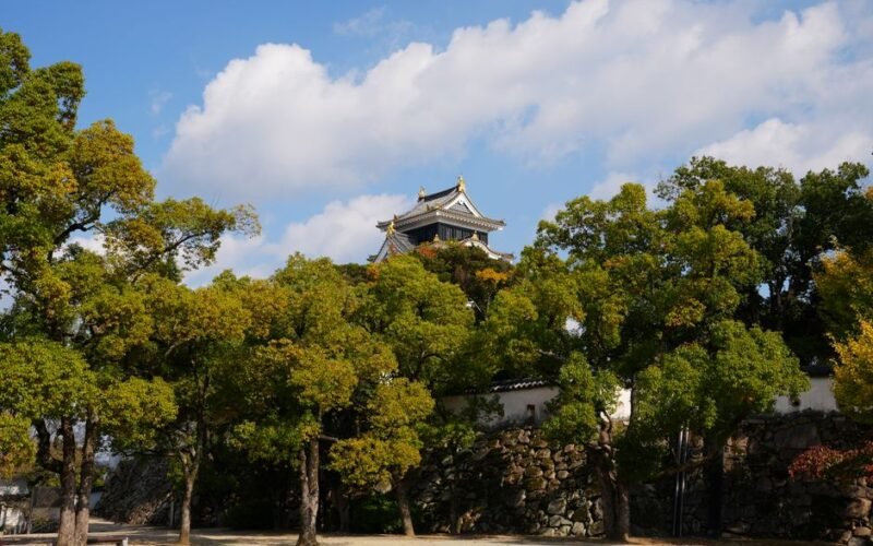Okayama University
