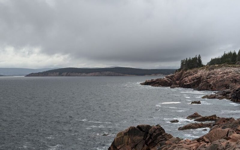 Cape Breton University