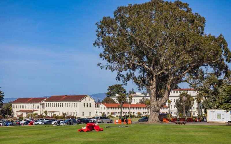 Massey University