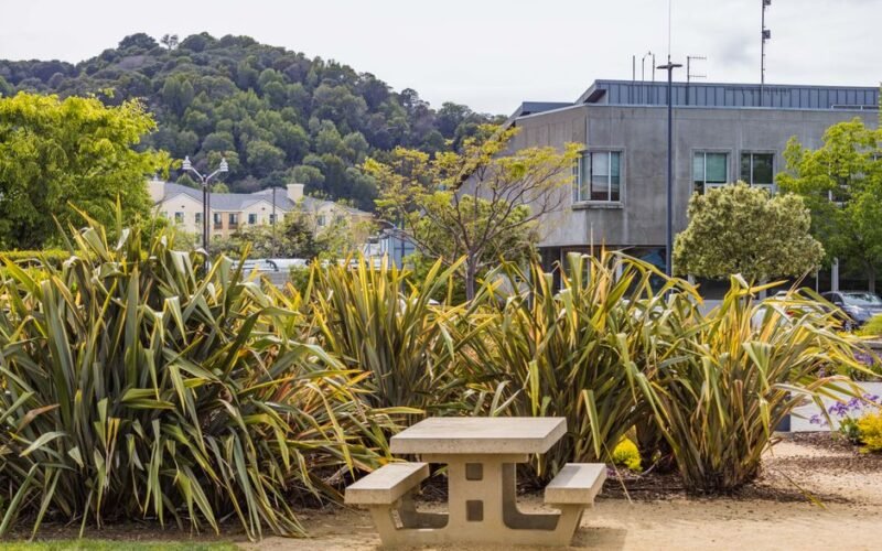 Lincoln University New Zealand