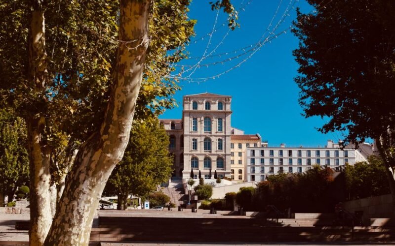 Aix-Marseille University