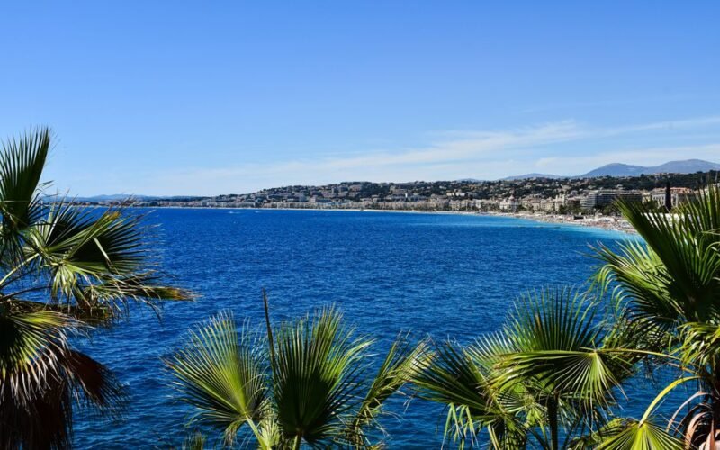Universite Cote d’Azur