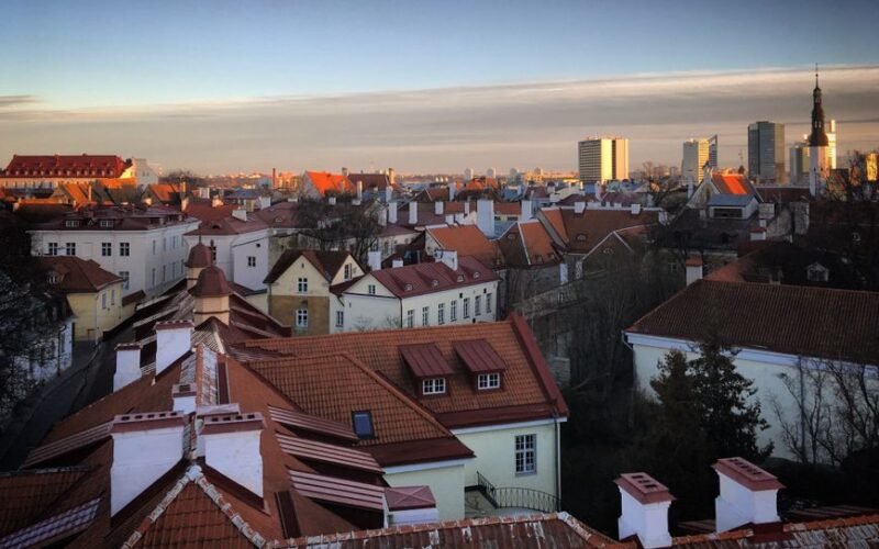Tallinn University